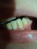 DSC00001.JPG