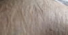 upload_2017-6-3_12-39-12.png