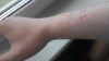 IMG_20170702_140519.jpg