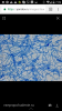 Screenshot_2017-07-30-19-09-24.png