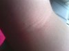 IMG_20170730_192259.jpg