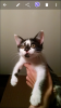 Screenshot_2017-09-18-19-18-25.png