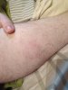 IMG_20171014_160815.jpg