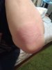 IMG_20171015_121425.jpg