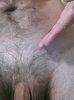 20160705233231-1.jpg