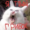 20190317_004204.jpg