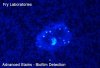 biofilm-300x204.jpg