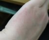 IMG_20201023_155316.jpg