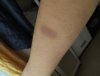 IMG_20201023_155241.jpg